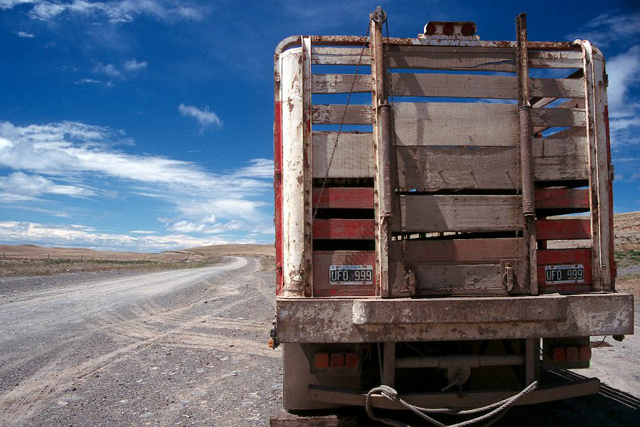 UFO999 sheep truck